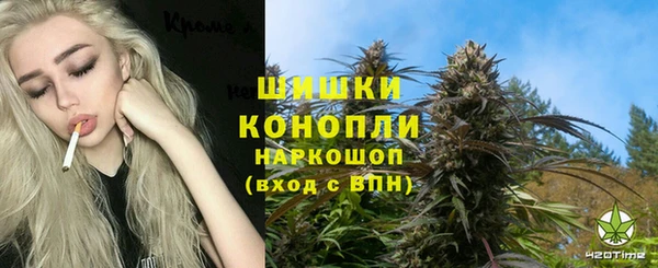 mix Белокуриха