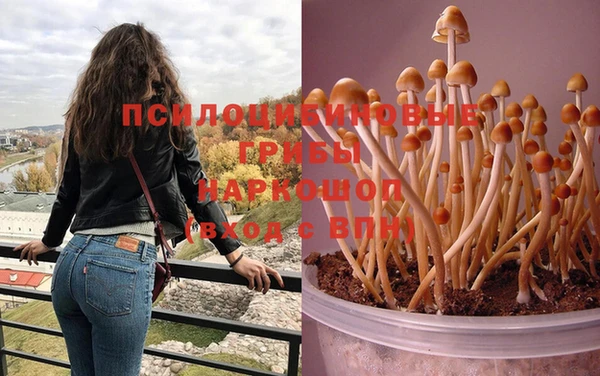 mix Белокуриха